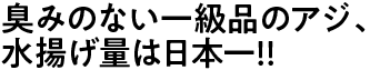 臭みのない一級品のアジ、水揚げ量は日本一!!