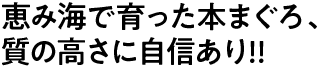 恵み海で育った本まぐろ、質の高さに自信あり!!