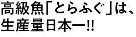 高級魚「とらふぐ」は、生産量日本一!!