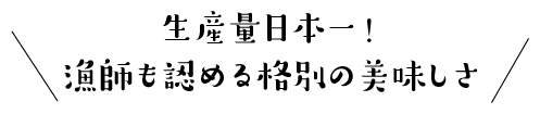 生産量日本一！漁師も認める格別の美味しさ