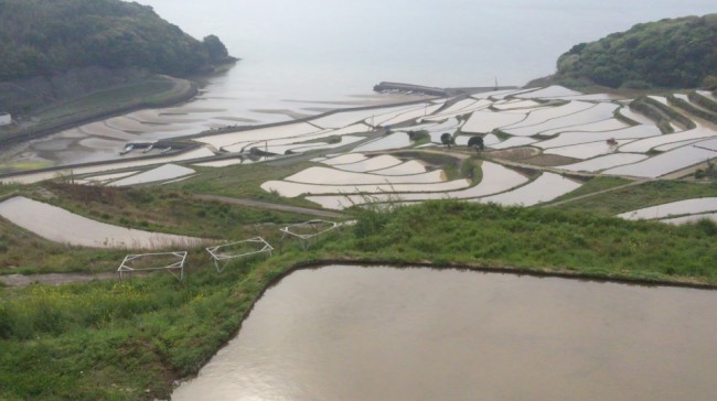 棚田４月１６日　①