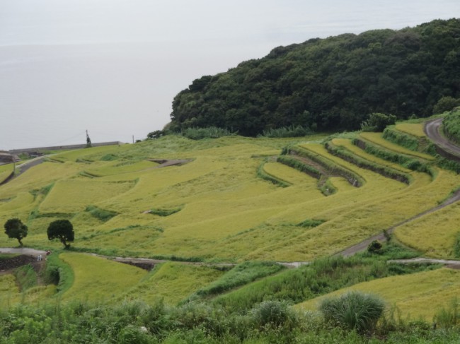 ８月２０日