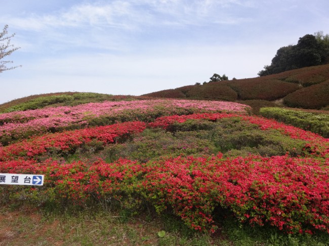 4月7日１