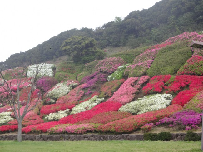 ４月１８日①