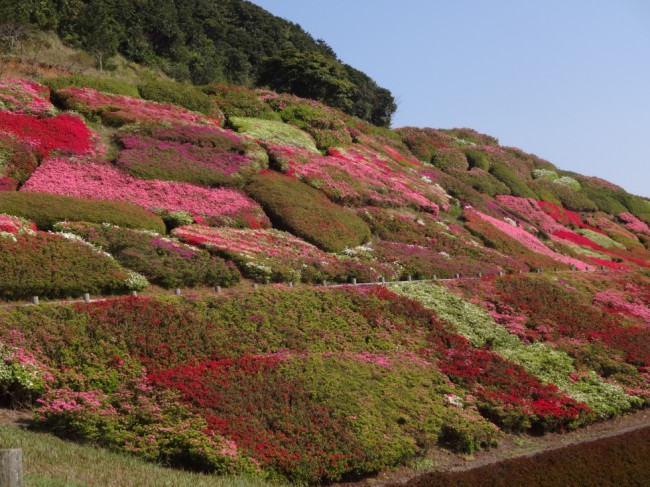 4月15日②