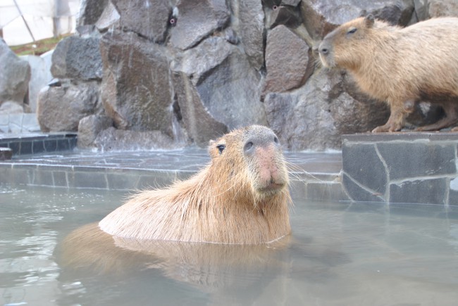 新着情報写真