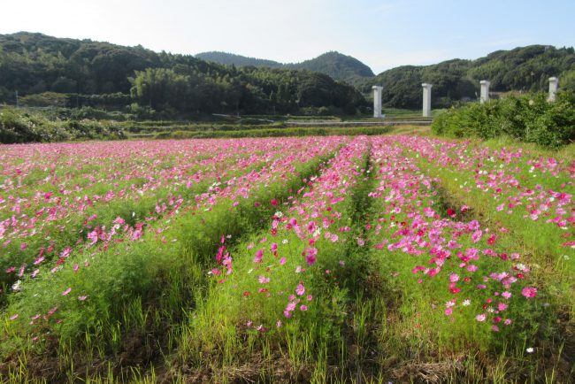 新着情報写真